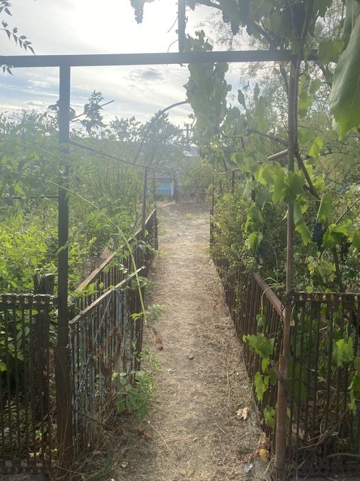 Продам дом в с. Любомирка Подільського р-на.