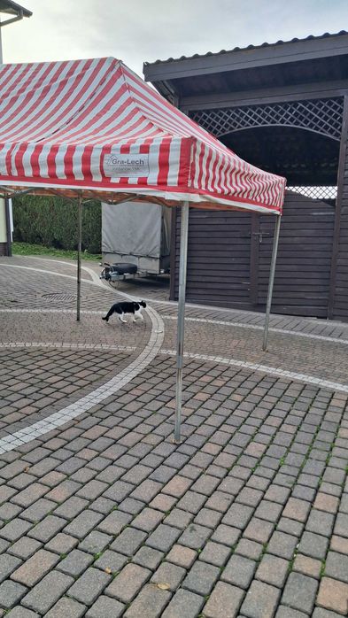 Namiot ekspresowy używany