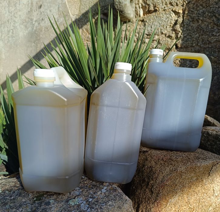 Azeite Extravirgem Regional Castelo Branco