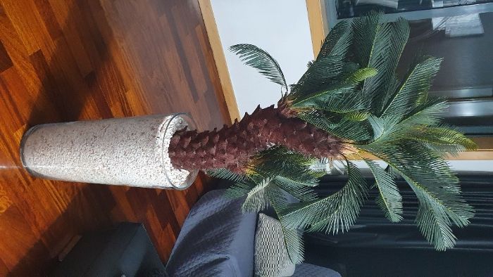 Vendo Planta de Plastico