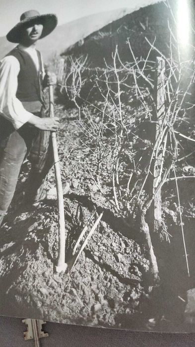 Douro - Antonio Barreto