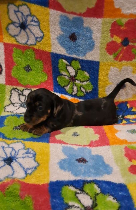 Чекає саме на Вас