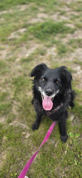 Kochana sunia do adopcji
