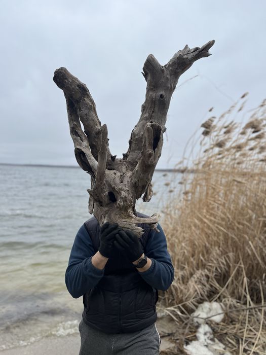Унікальна дерев’яна скульптура | Натуральний декор із корчів