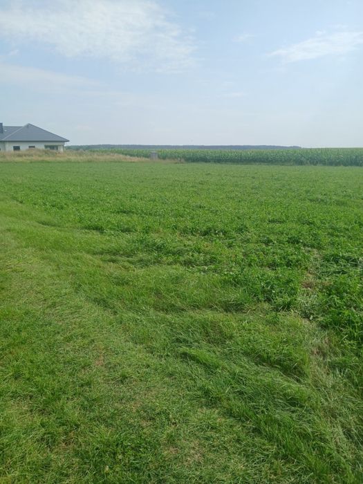 Sprzedam 2 działki budowalne Rogienice Wielkie, 15 km od Łomży - Widok 3