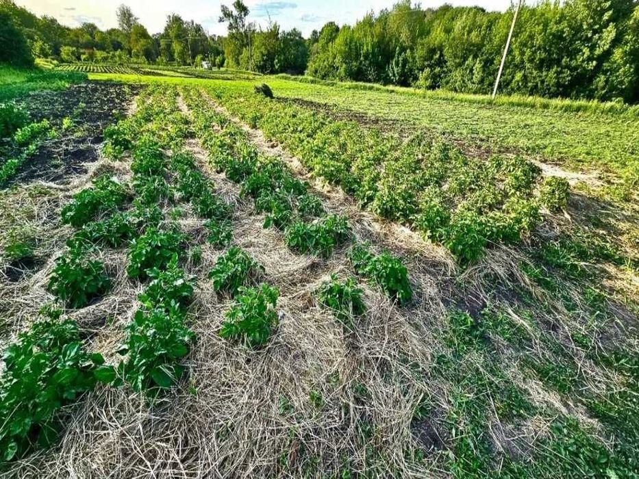Продаж будинку 175м2 №'18044