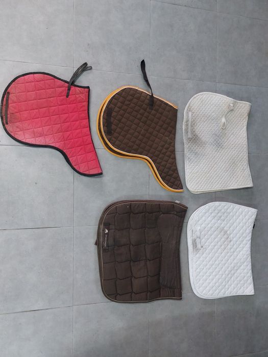 Xaireis e protetores de dorso