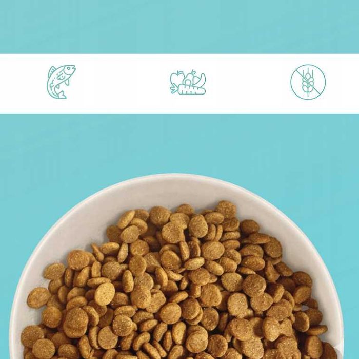 Karma z łososiem 4 kg sucha