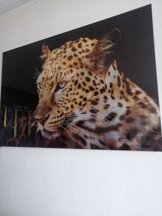 Obraz szklany z motywem zwierzęcym.