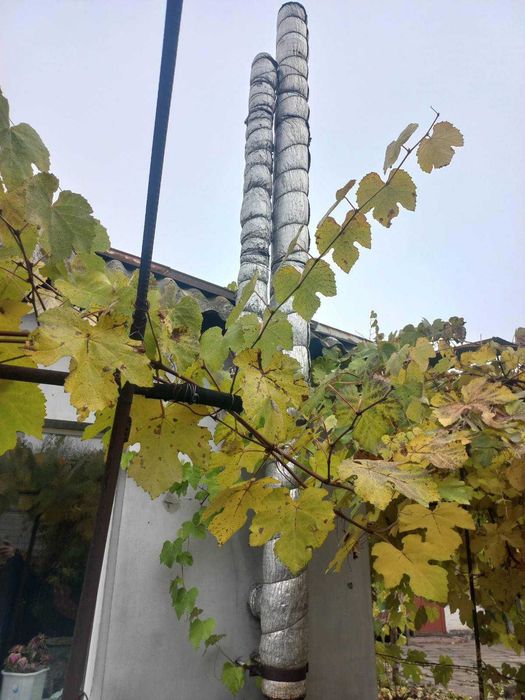 Будинок с.Богданівка