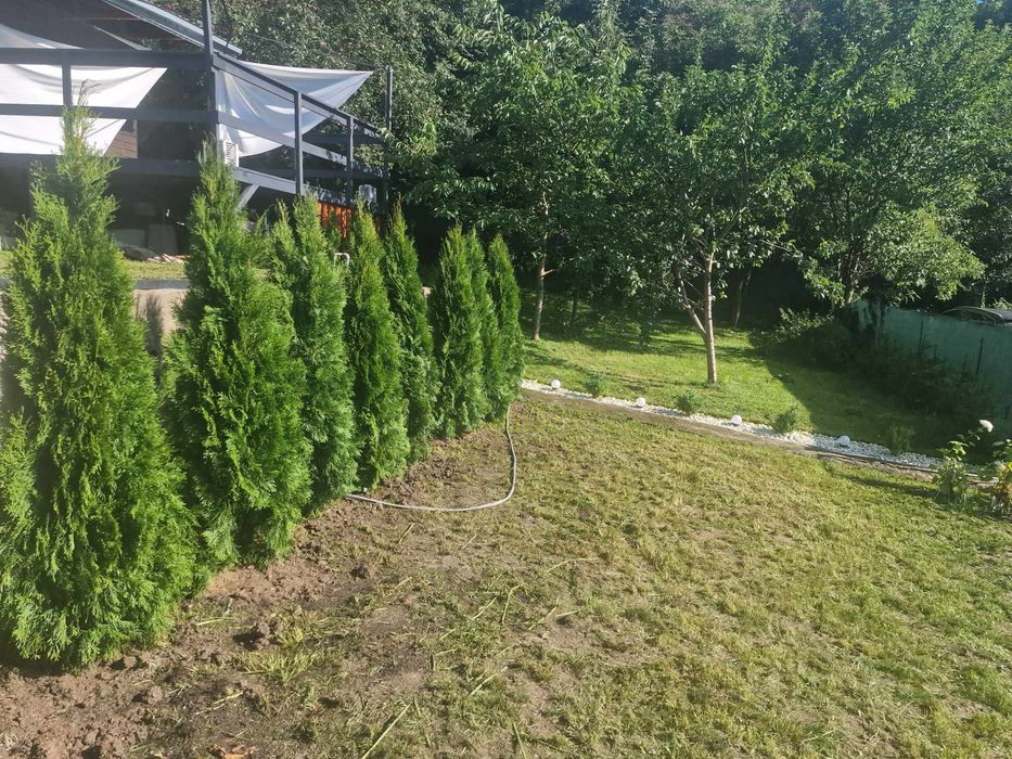 Dzialka ROD ul Sikorskiego Olsztyn - Więcej