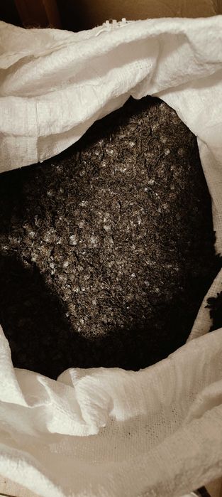 Makuch konopny po tłoczeniu oleju  paczka  20 kg