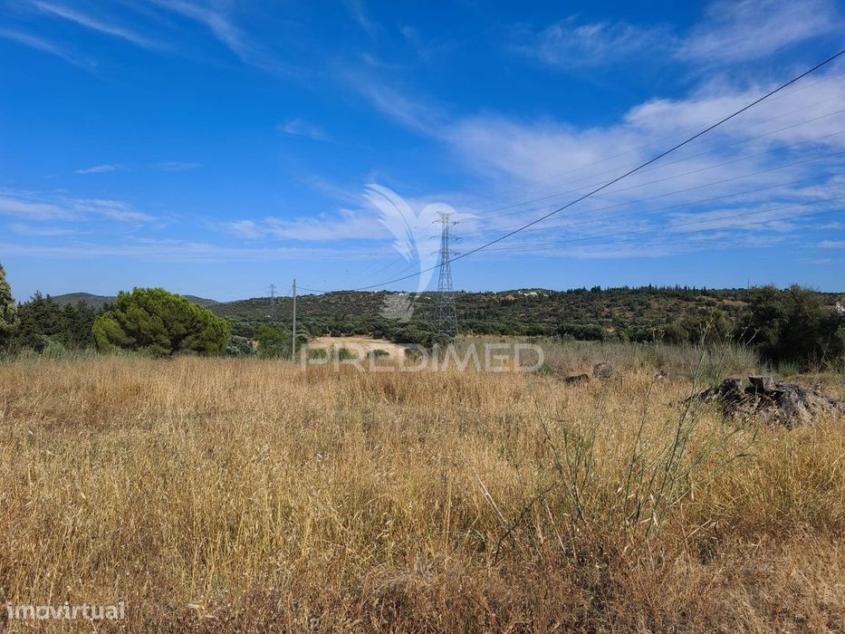 Albufeira-Paderne Alcaria Terreno Rústico plano 33440m²