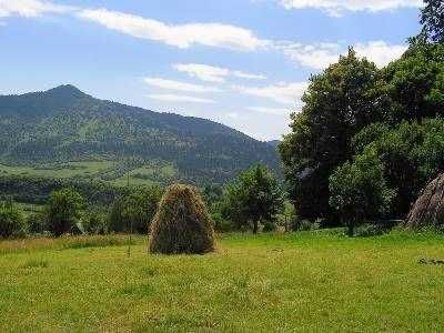 Земельна ділянка с. Рибник