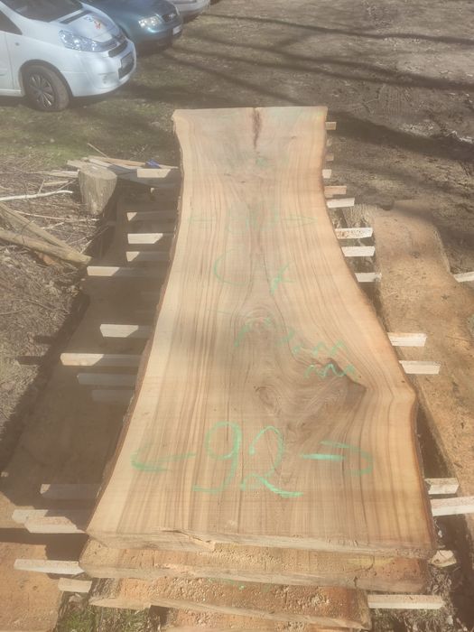 Monolity wiąz szerokie ponad 100 cm