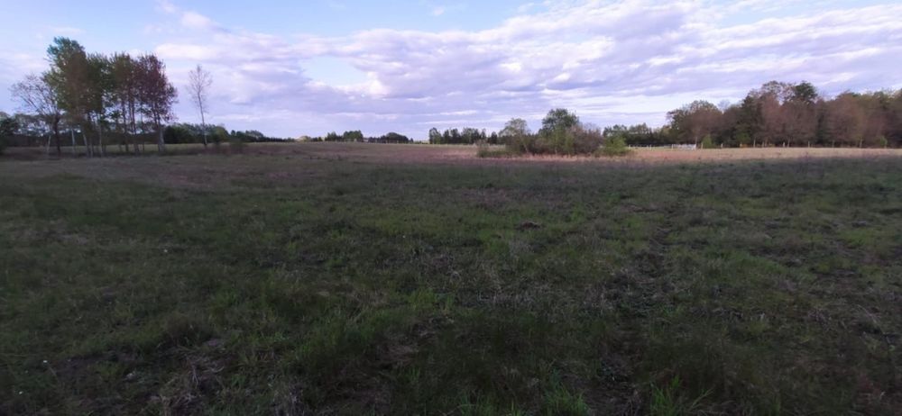 Działka 3001 m² z możliwością zabudowy w Piławie. - View 4