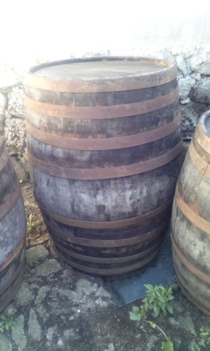 Barris de vinho em madeira