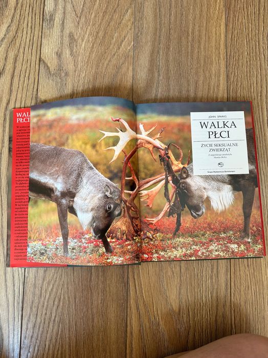 Książka „ Walka płci” na pomoc kotom bezdomnym.