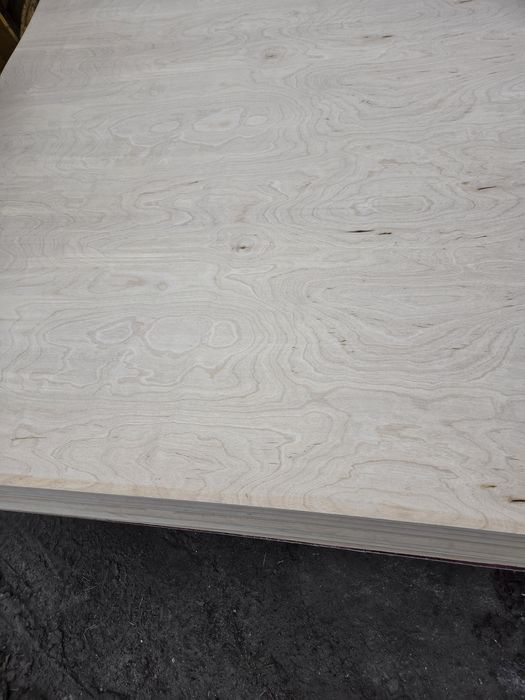 Sklejka liściasta 4mm 125x250cm 1250x2500x4mm  wodoodporna  surowa brzozowa naturalna brzoza zabudowa kamper 4mm,6mm,12mm2150x4000,1934x3766,1850x3660