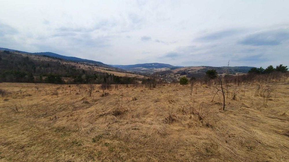 Продаж/Земля/під будівництво/Опака /Дрогобицький рн/Львівська область