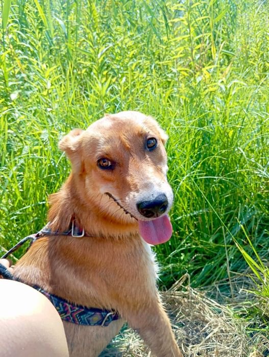 Jacuś szuka swojej Rodziny..