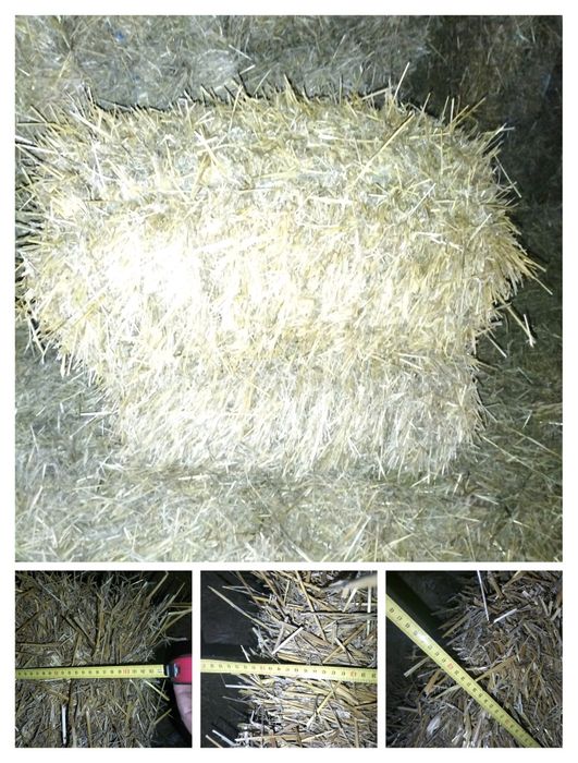 Продам Сіно140 гр та солому70 тюкі великі