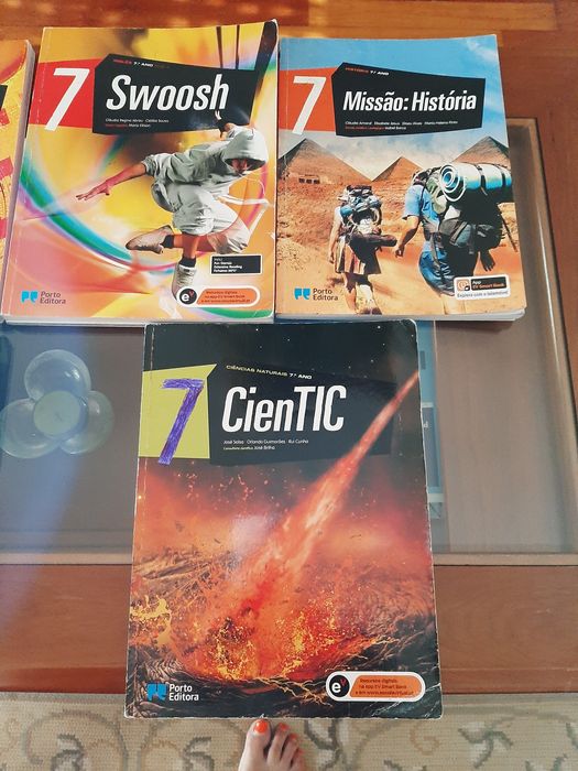 Diversos Manuais/cadernos de actividades do 7° Ano.