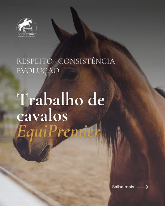 Cavalos a penso/Aulas de equitação