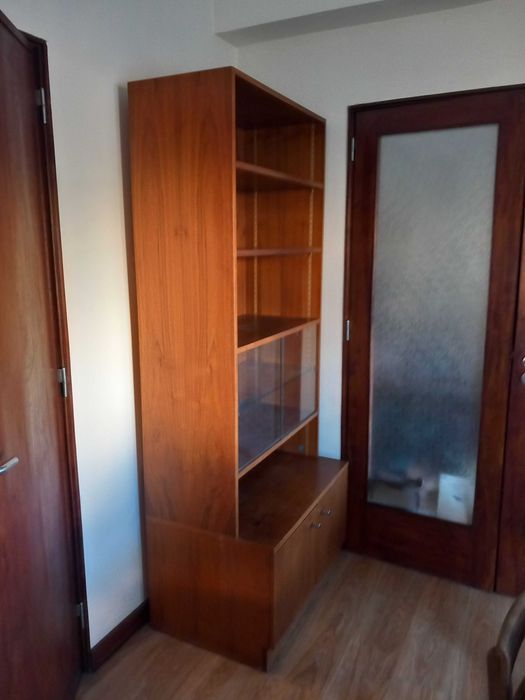 Estante com janela de vidro e armario de portas