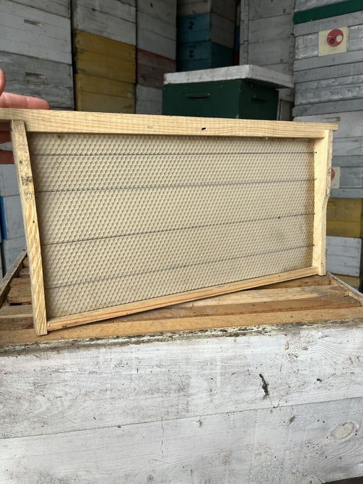 Продам суш, рамки з вощиною, 145, 230, рута пасіка