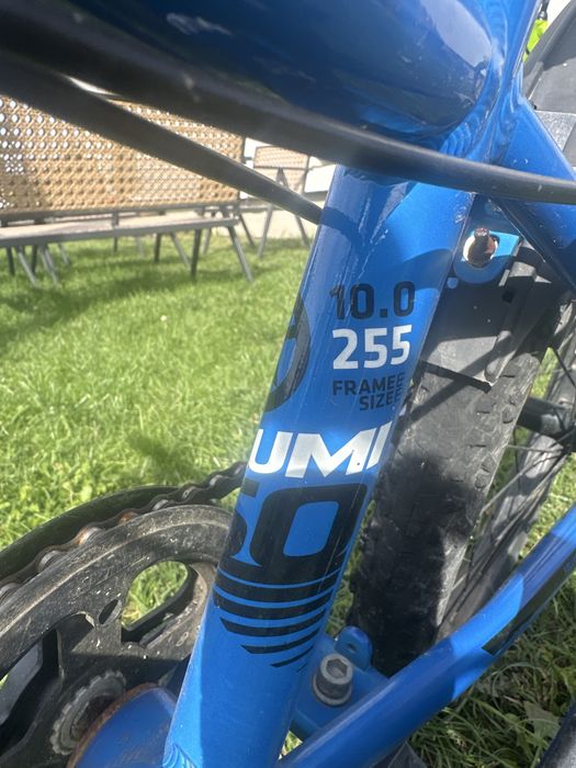 Rower Kellys lumi 50 rama 10