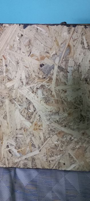 Картина з битою пляшкою