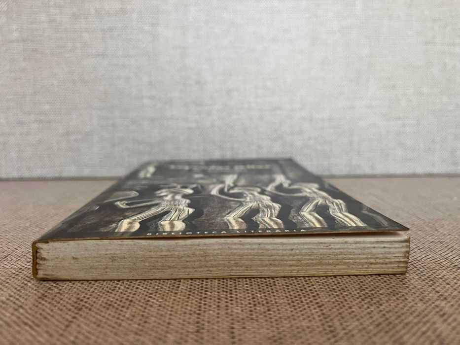 Livro Leyendas Celtas