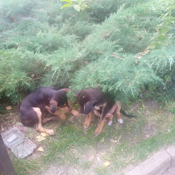 Заберіть буд ласка