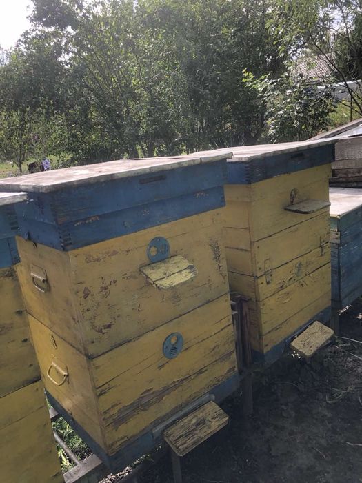 Продам улики для пчёл