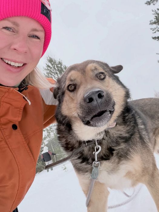 Bob kochany pies do adopcji