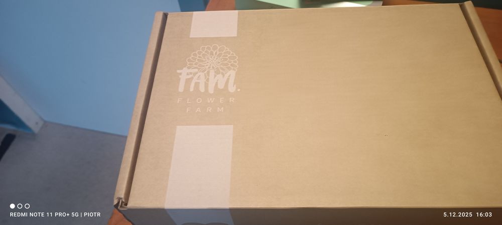 Cebulki tulipanów mix 80 sztuk