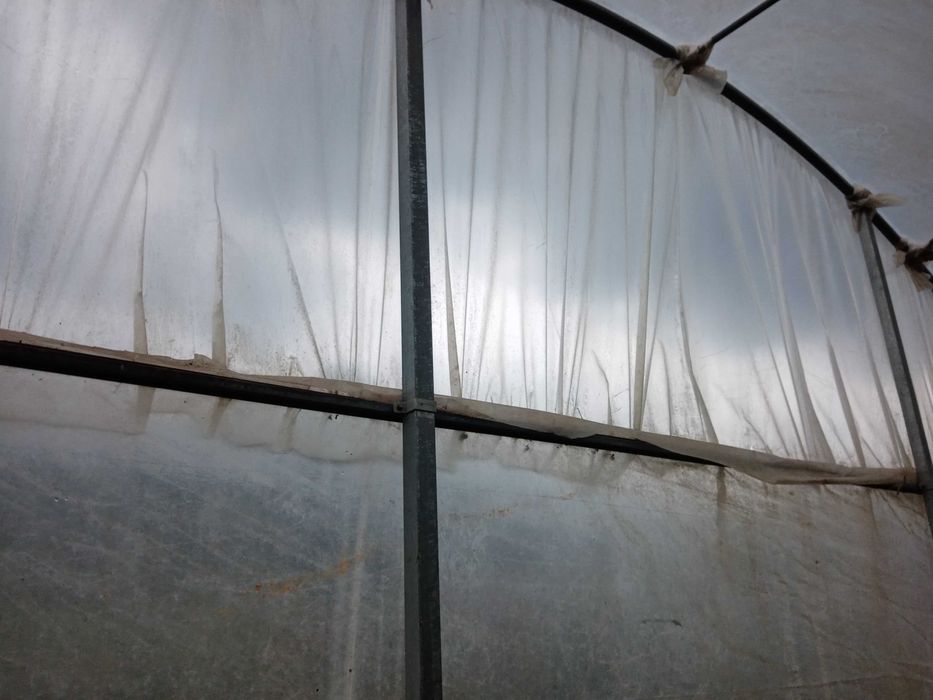 Estufa agrícola usada