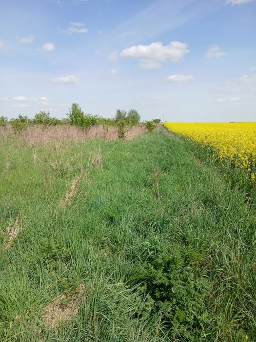 Bronowice działka  rolna 46 ar.