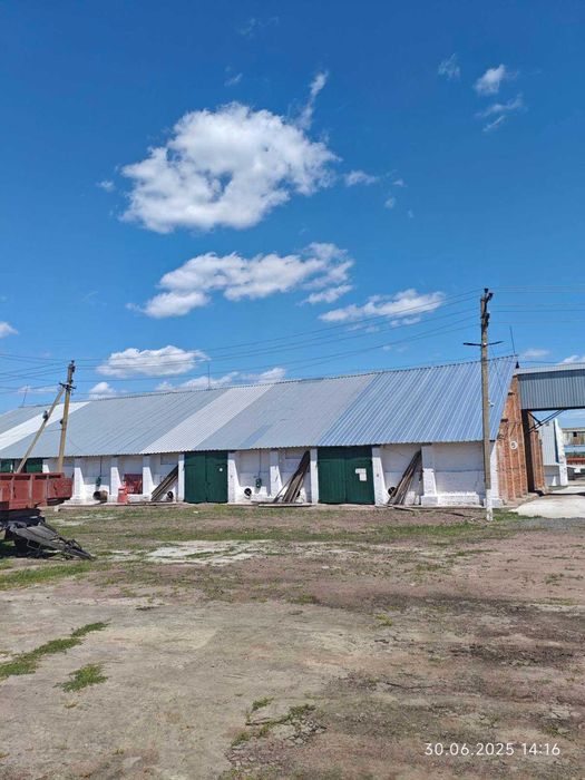 Продаж елеваторного комплексу ТОВ «Маловисківське ХПП «ТАС АГРО»