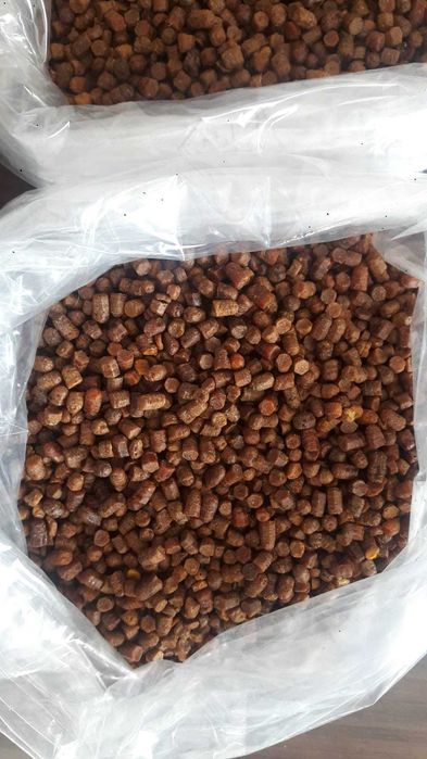 2025 Chleb pszczeli, pierzgaa  Minimum Zamówienie: 10 kg