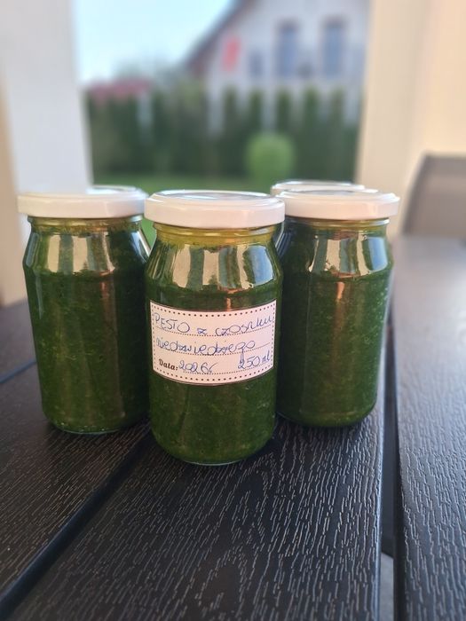 Pesto z czosnku niedźwiedziego [2szt]