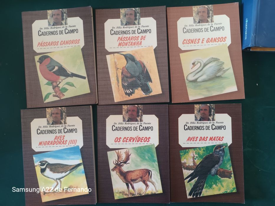 Cadernos do campo
