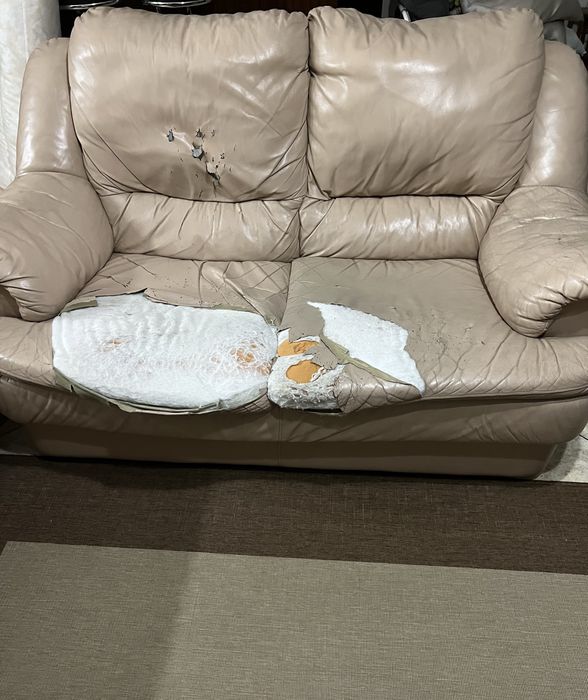 Sofá em pele , se encontra rasgado , mas a estrutura está excelente .