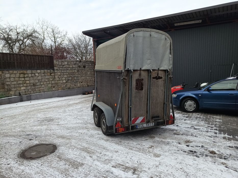 Przyczepa do przewozu koni  zwierząt  Bockmann Kat B  dmc 1300