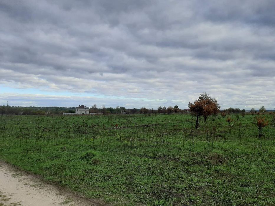 1Продається ділянка з Лісом