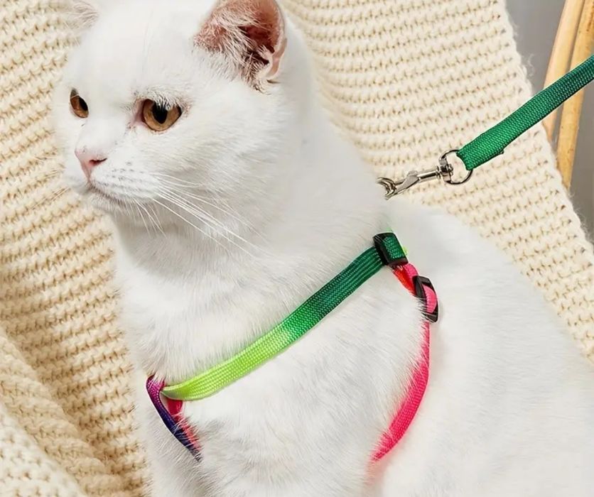 Trela para gato e cão