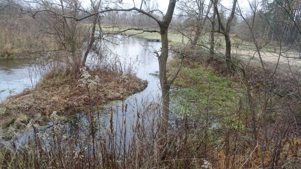 Wynajmę tartak w Pisklakach gmina Łukowa powiat Biłgoraj