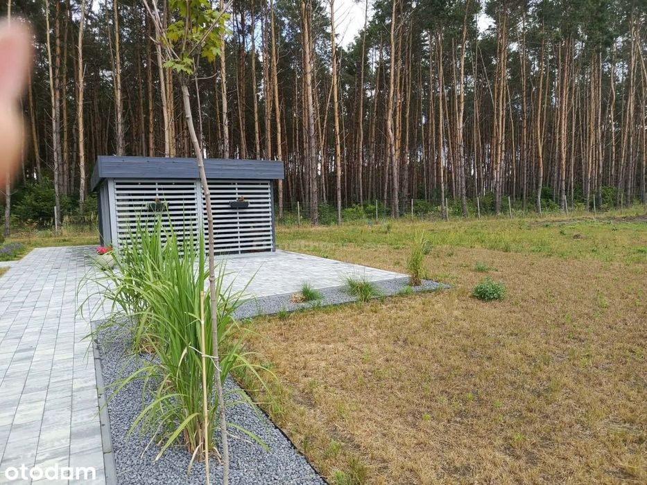 Działka na sprzedaż, Golice-Kolonia