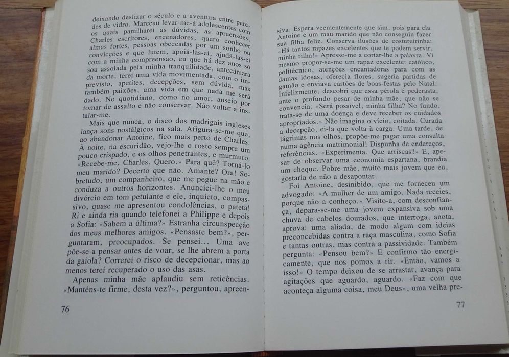 O Sol Atrás da Vidraça de Anne Loesch